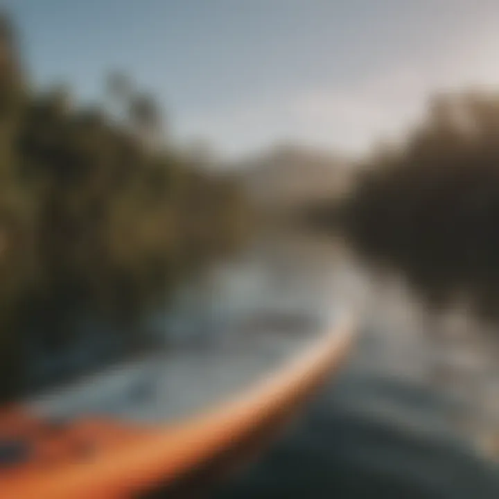 Billabong paddle board in action on calm waters