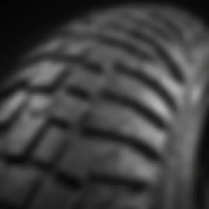 Close-up view of Schwalbe tire tread design