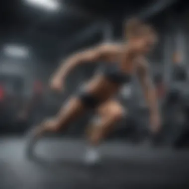 Diverse full body workout techniques