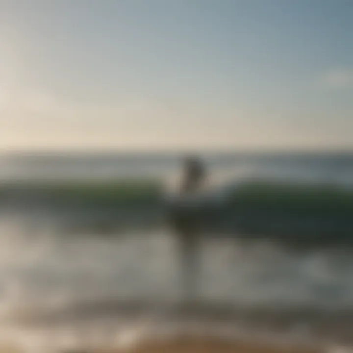 A community gathering celebrating surfing culture with music and food