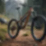 Diverse mountain bike types displayed outdoors