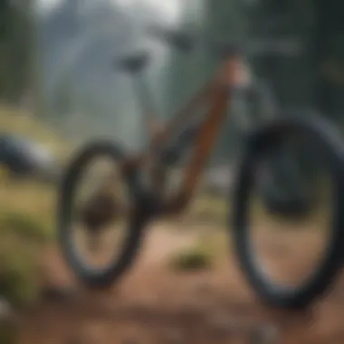 Diverse mountain bike types displayed outdoors