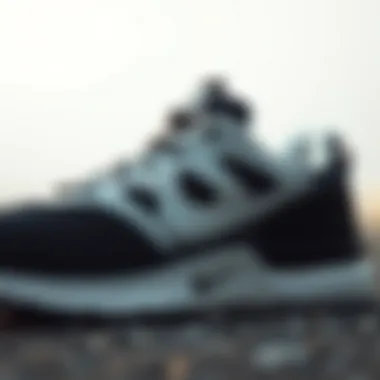 Detailed Design of Black and White Nike Workout Shoe Close-up view of black and white Nike workout shoe showcasing intricate design details