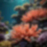 Vibrant coral reef teeming with marine life