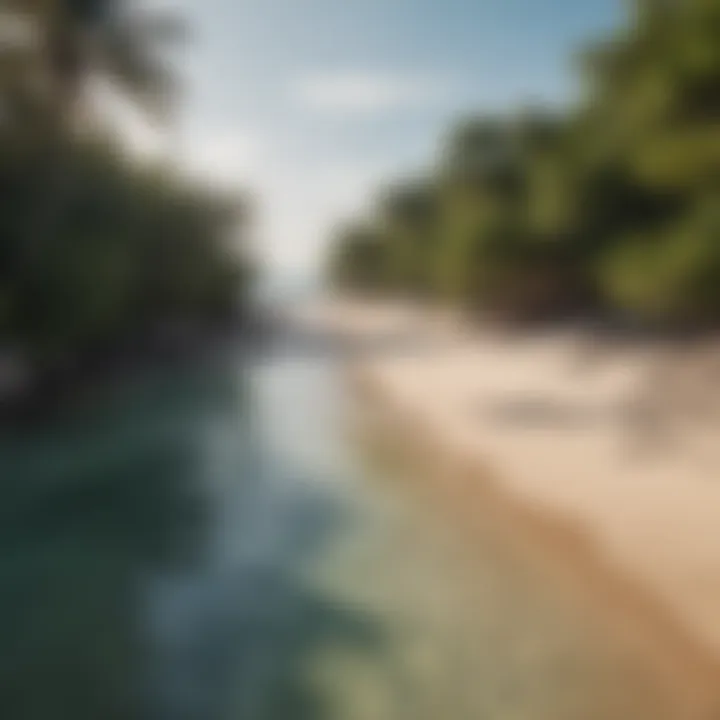 Lush greenery framing the coastline of Diani Beach