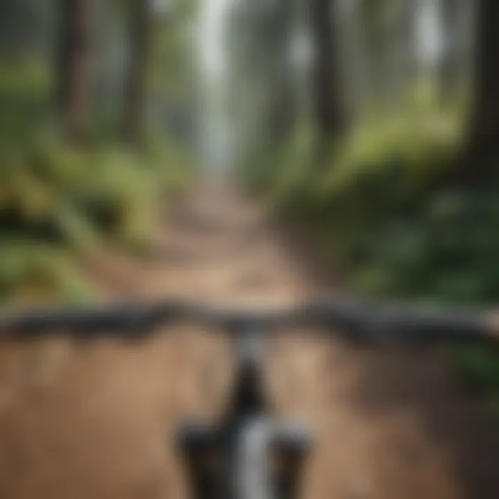 A breathtaking view of a downhill mountain biking trail surrounded by lush forests.