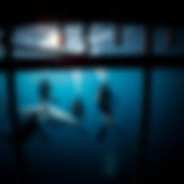 Cage diving experience with divers observing sharks underwater