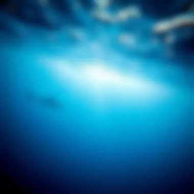Stunning underwater view highlighting the crystal-clear ocean