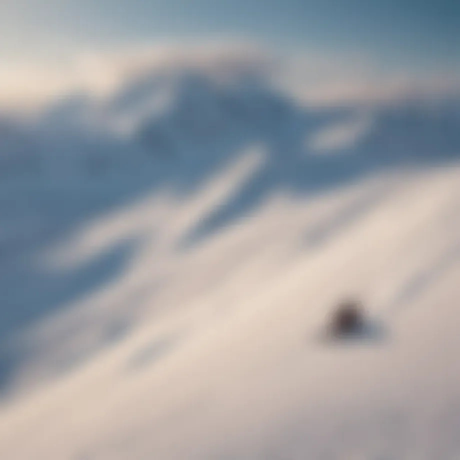 Stunning panoramic view of Kamchatka's snow-covered mountains