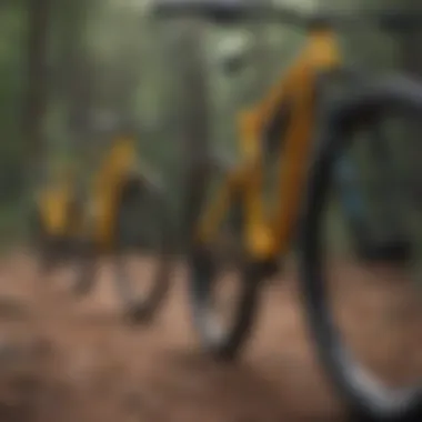 Diverse Range of Mountain Bikes Mountain bikes lined up highlighting different brands