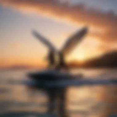 A serene sunset backdrop with a liftfoil gliding over the water, symbolizing the fusion of nature and innovation.