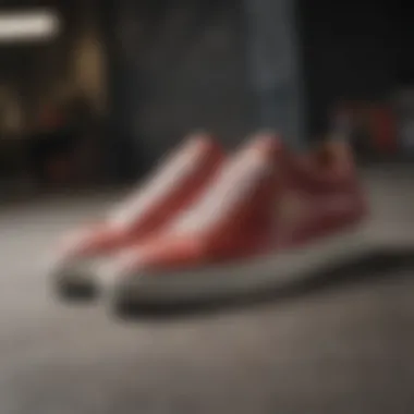 Versatile Styling of Low Top Blazer Shoes Fashionable styling of low top blazer shoes in a casual setting