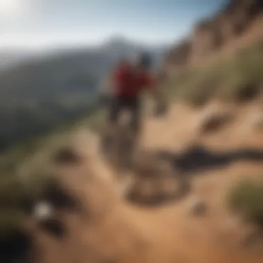 Mountain biker enjoying a smooth downhill ride