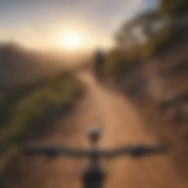 Scenic viewpoint overlooking a mountain bike trail