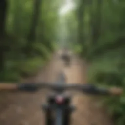 Rugged mountain biking trail in New Jersey surrounded by lush greenery