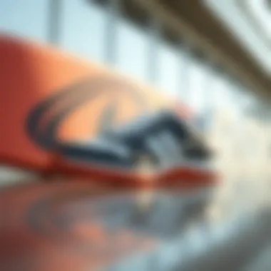Stylish Design: Roxy Libbie Shoes Stylish design elements of Roxy Libbie shoes reflecting modern fashion trends