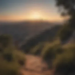 Breathtaking view of the Los Angeles skyline from a hiking trail