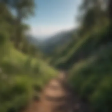 Lush greenery along a scenic hiking path in the hills