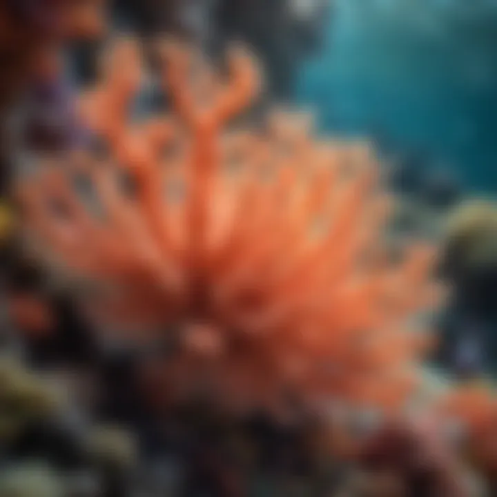 Vibrant coral formations teeming with marine life