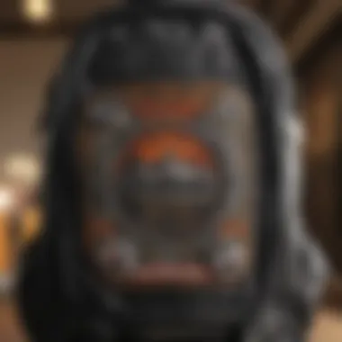 Patches on a Skateboarder's Backpack Collection of skateboard patches on a backpack