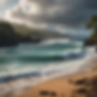 A picturesque view of the coastline with surfers in the background