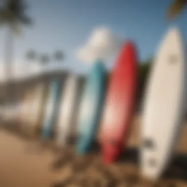 Surfboards lined up on the beach, ready for adventure