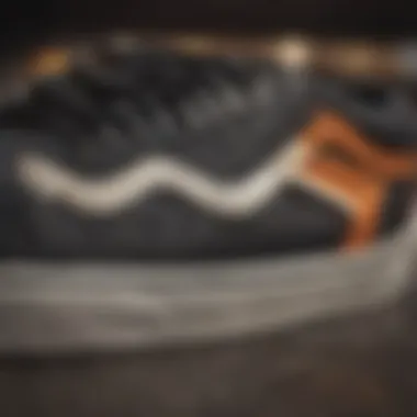 Close-up of Vans shoe features for extreme sports