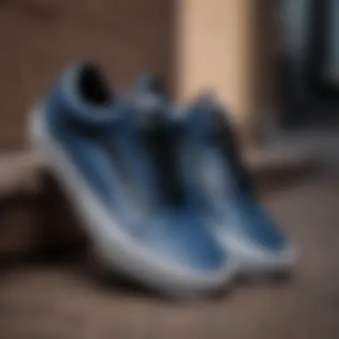 Sneaker Collectors Featuring Black and Blue Vans Old Skool A group of sneakers collectors displaying their black and blue Vans Old Skool models.
