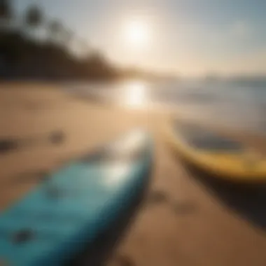 Comparison of paddle boards and surfboards on the beach