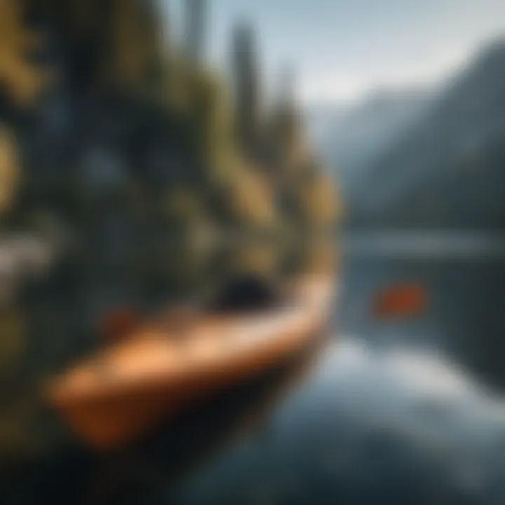 A collection of diverse kayak designs on a serene lake