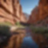 Breathtaking view of Red Rock Canyon showcasing rugged cliffs and vibrant desert flora.