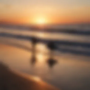 A vibrant sunset over the ocean with surfers in silhouette