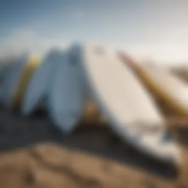 Surfboards lined up on the beach ready for use