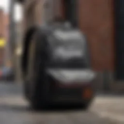 Vans black and white backpack against an urban backdrop