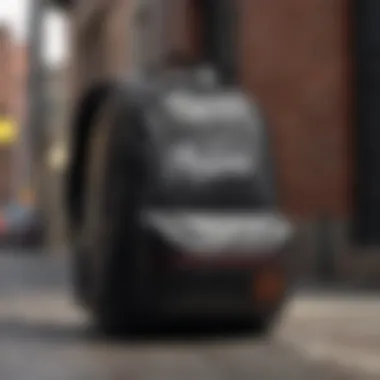 Vans black and white backpack against an urban backdrop