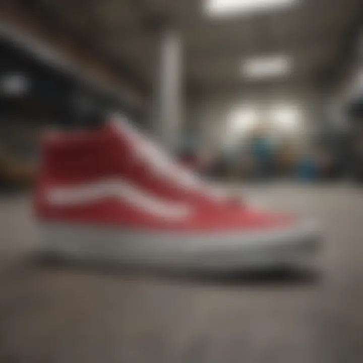 Exploring the Vans SK8 Reissue: A Detailed Examination Introduction