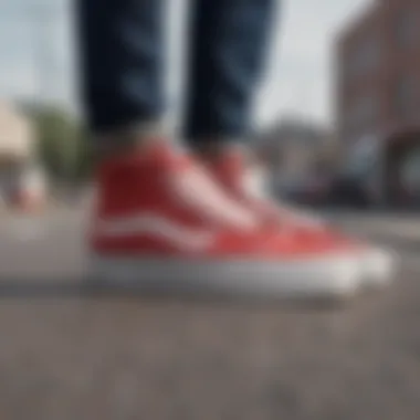 Exploring the Vans SK8 Reissue: A Detailed Examination Summary Exploring the Vans SK8 Reissue: A Detailed Examination Summary