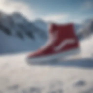 Exploring the Vans Ski8 Hi: A Comprehensive Analysis Summary