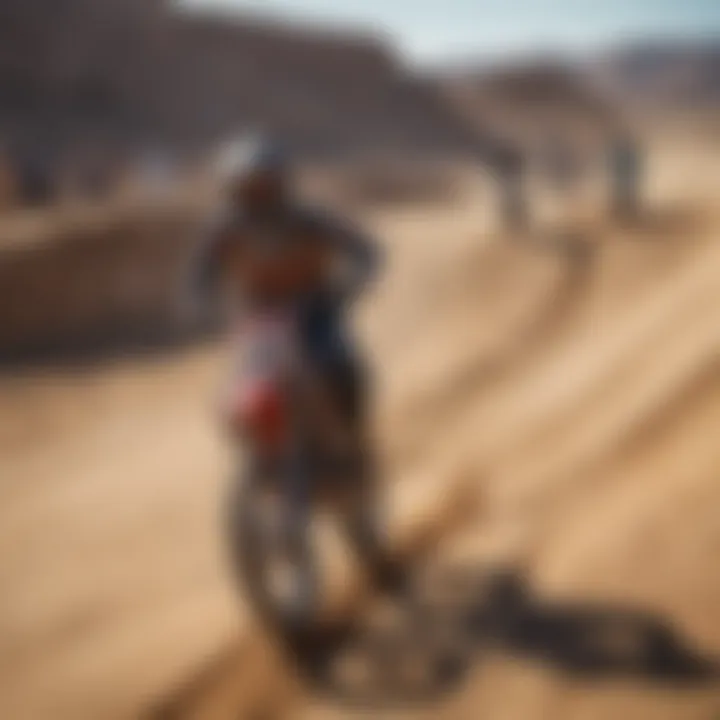 A group of riders discussing ramp designs