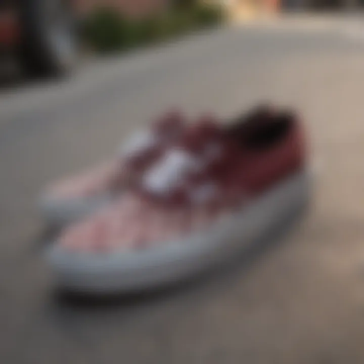 Group of skateboarders discussing their Vans Authentic Tonal Checkerboard Skate Shoes