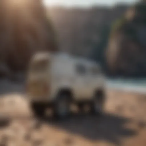 Vans Hybrid Shorts showcased on a rocky beach