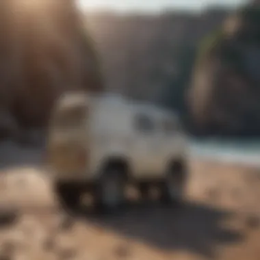 Vans Hybrid Shorts in a Natural Setting Vans Hybrid Shorts showcased on a rocky beach