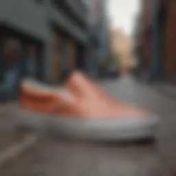 Vans Lizzie Armanto Slip-On showcasing its unique design elements