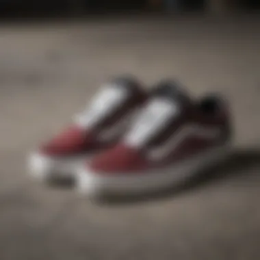 Close-up of Vans Old Skool Pro skate shoe materials