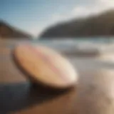 Different types of skim boards displayed on the beach