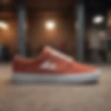 Comparison of Lakai Cambridge shoes with other popular skate shoes