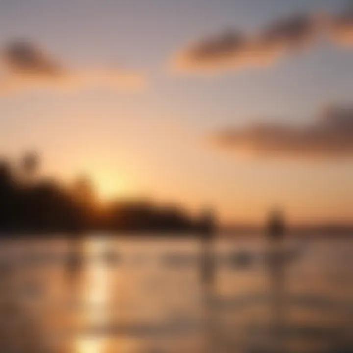 Group of paddle boarders enjoying a sunset on the water