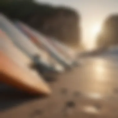 Surfboards lined up on the beach ready for action