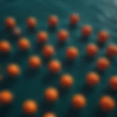 Aerial view of various buoy types in a vibrant ocean setting