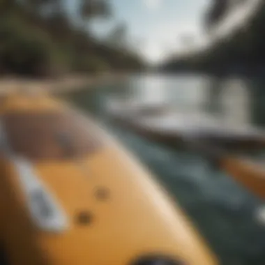 An array of paddle boards displayed for sale, highlighting different brands and styles.